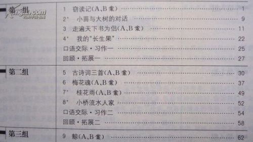 語(yǔ)文教案的案例參考